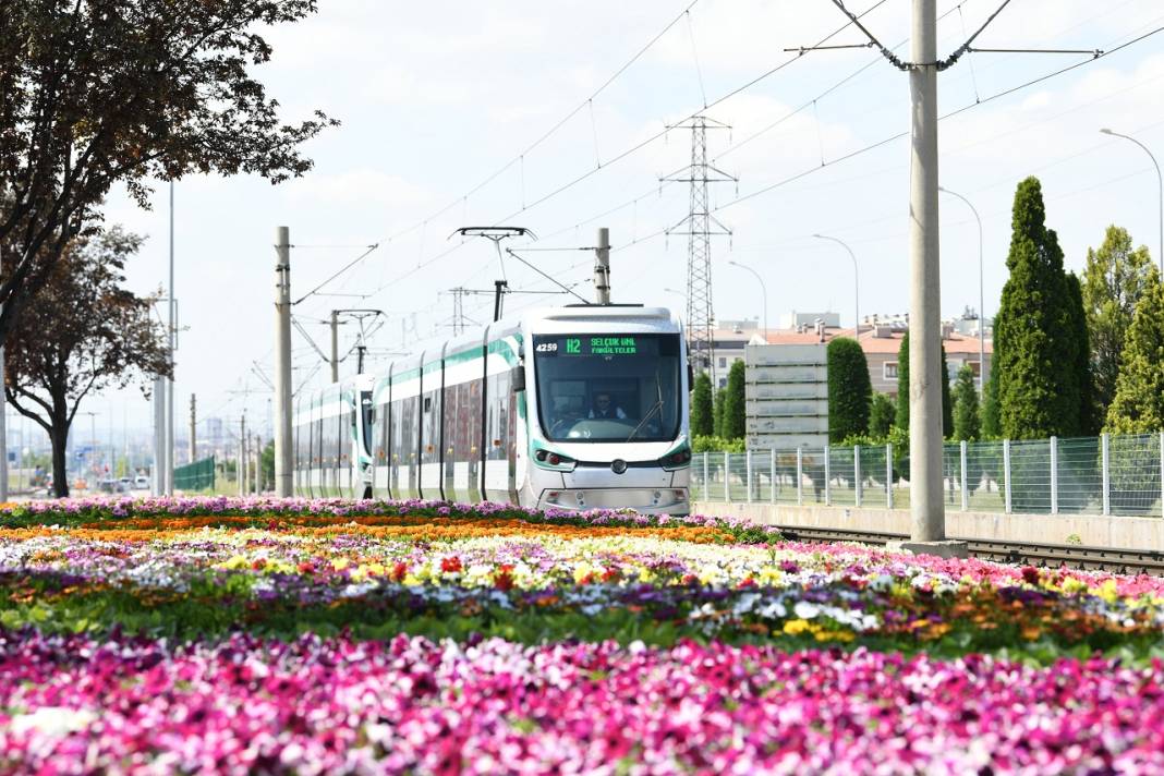 1,8 milyon çiçek, açtı: İşte göz kamaştıran Konya park ve caddeleri 18